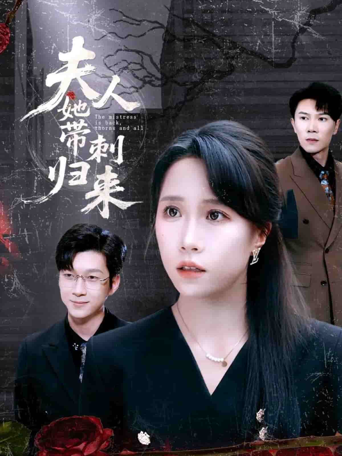 夫人她带刺归来海报