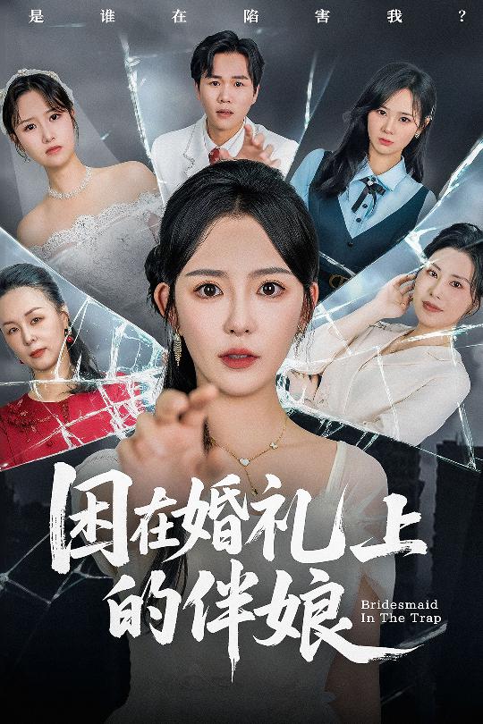 困在婚礼上的伴娘海报