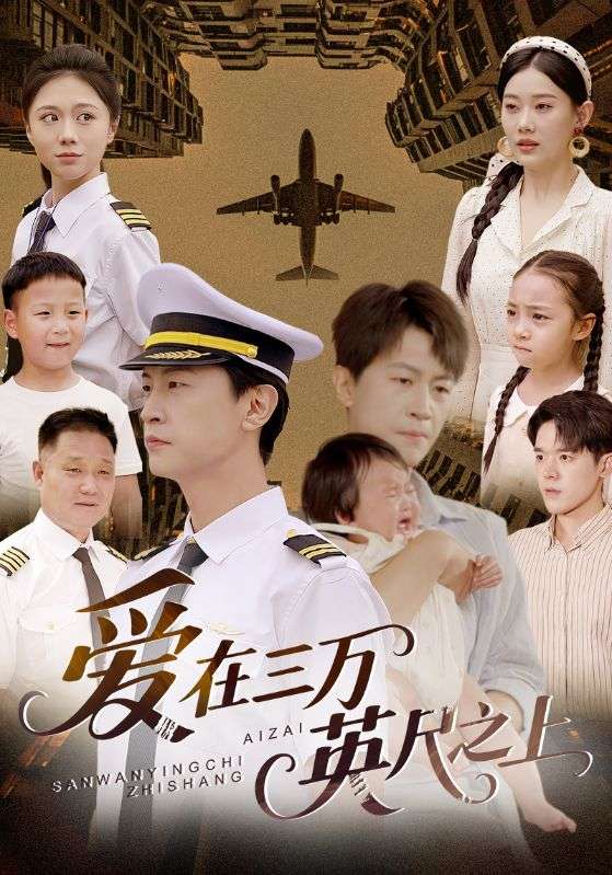 爱在三万英尺之上海报