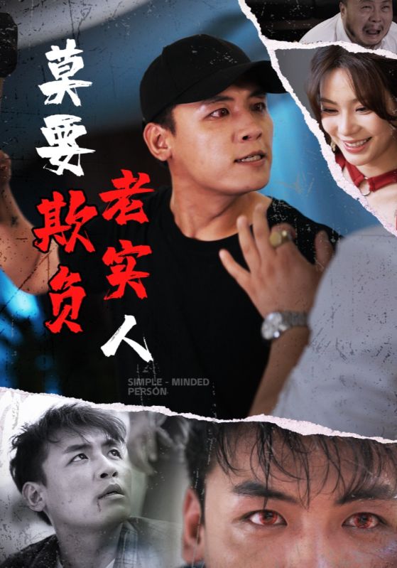 莫要欺负老实人海报