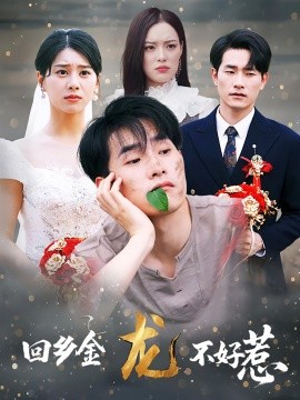 回乡金龙不好惹海报