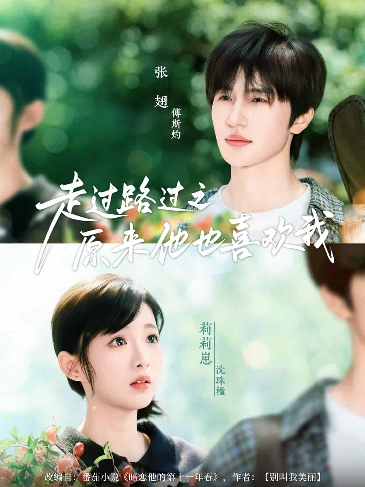 走过路过之原来他也喜欢我海报