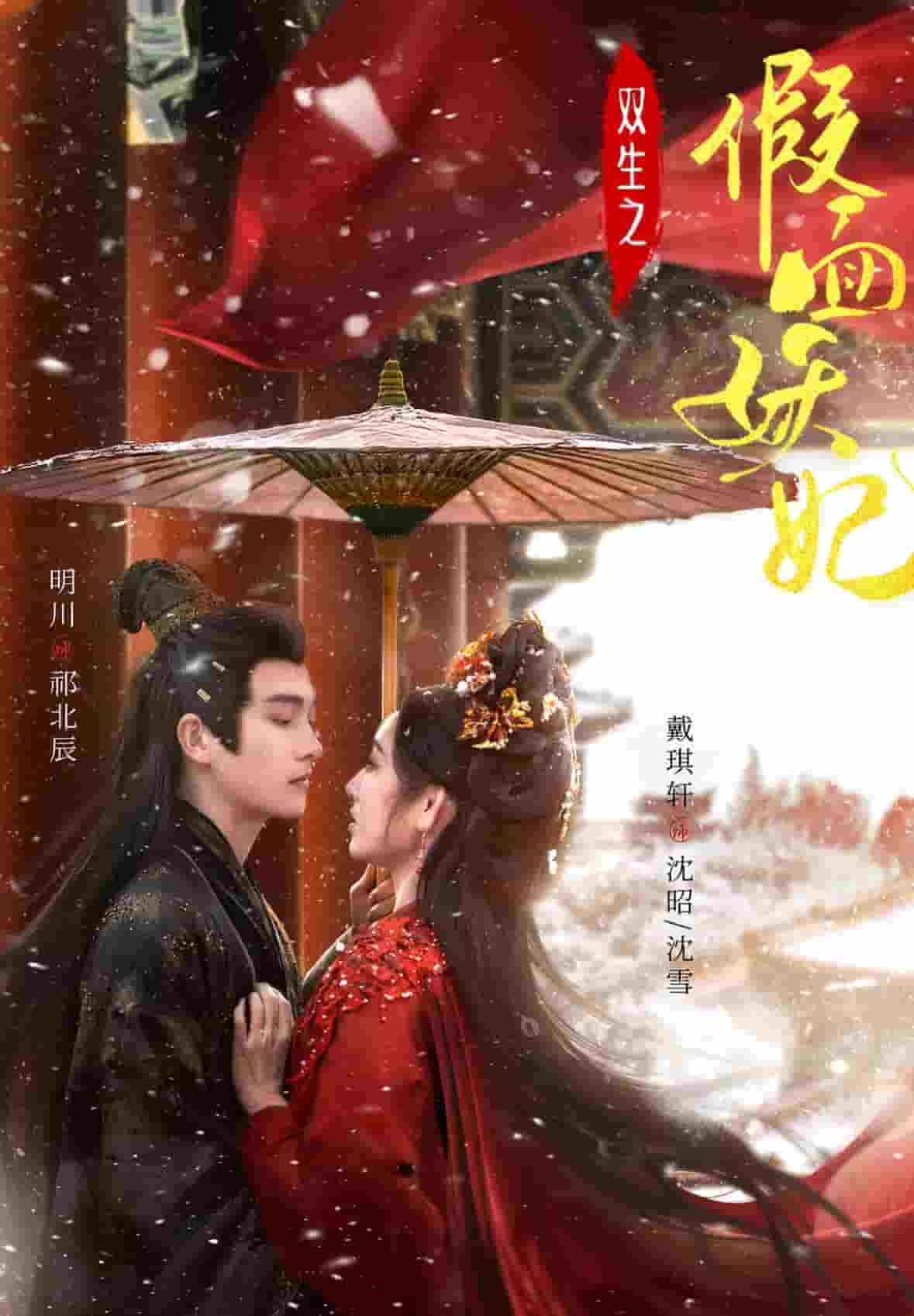 双生之假面妖妃海报