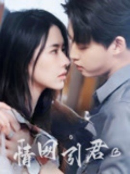 情网引君海报