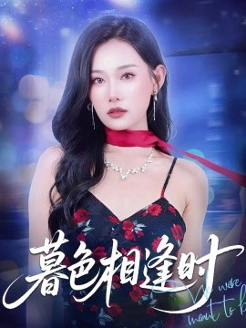 暮色相逢时海报