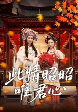 此情昭昭唯君心海报