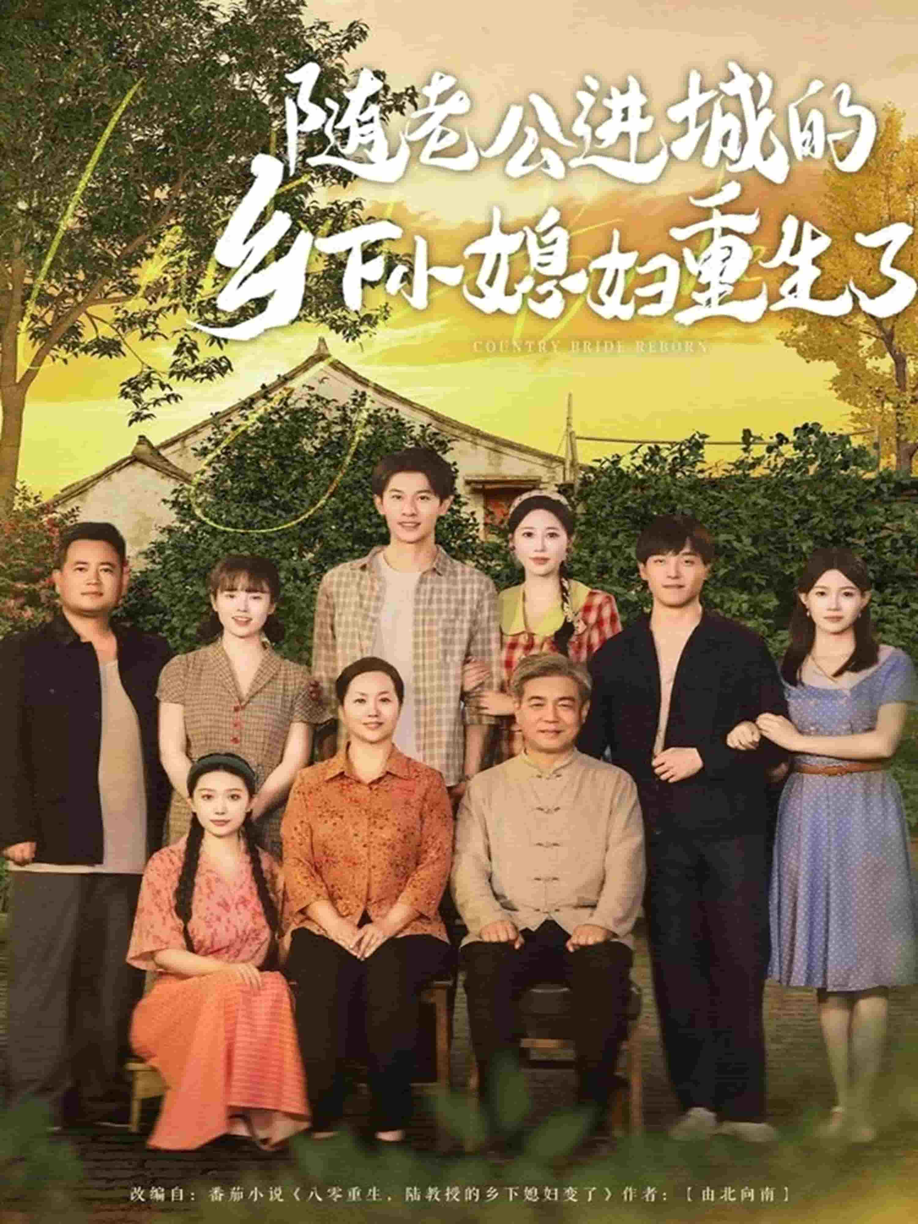 随老公进城的乡下小媳妇重生了海报