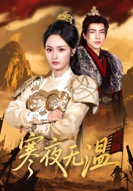 寒夜无温海报