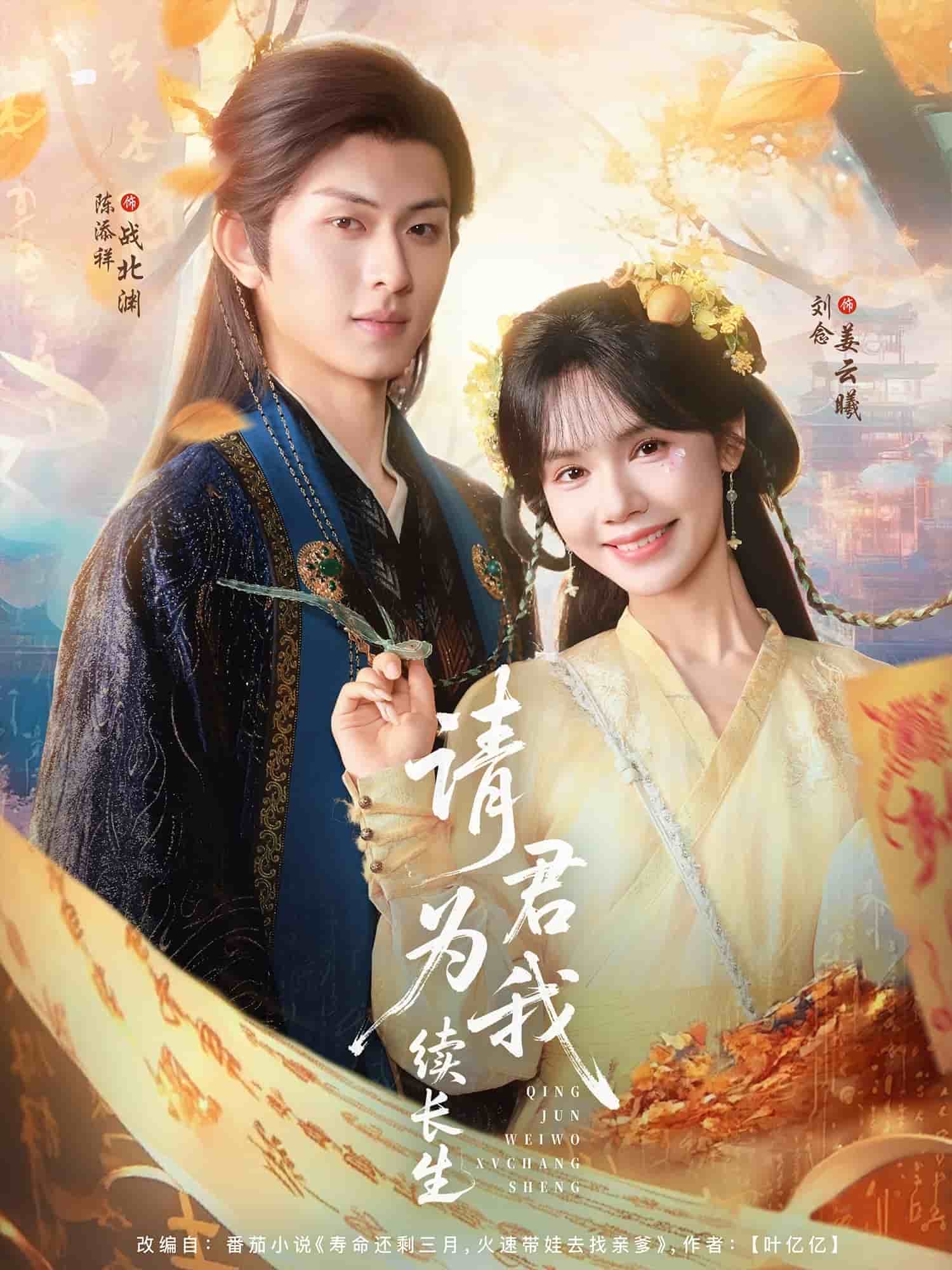 请君为我续长生海报