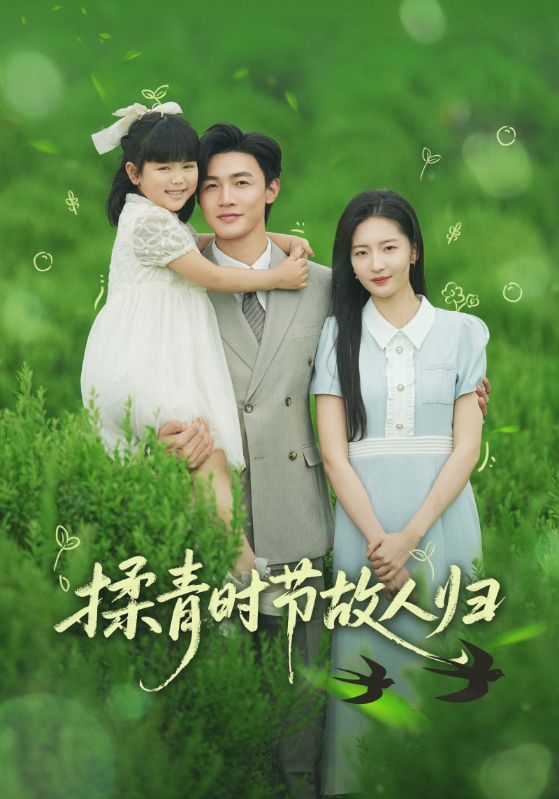 揉青时节故人归海报