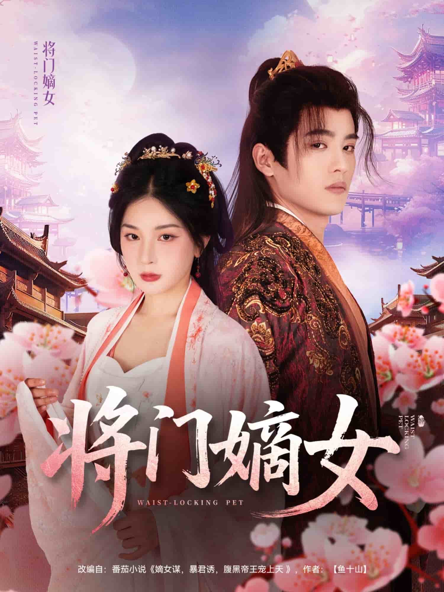 将门嫡女海报