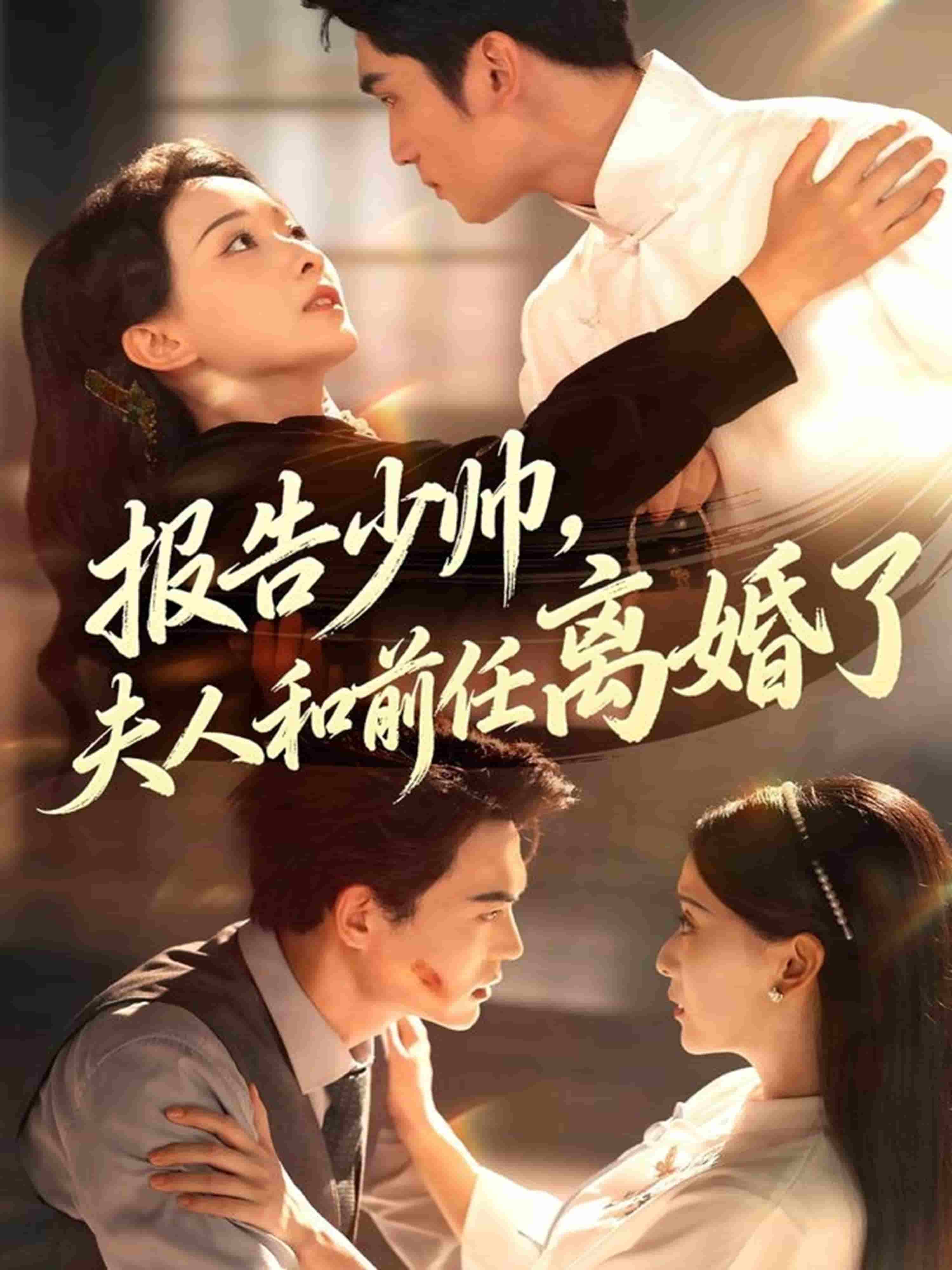 报告少帅，夫人和前任离婚了海报