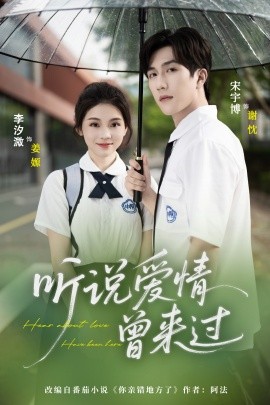 听说爱情曾来过海报