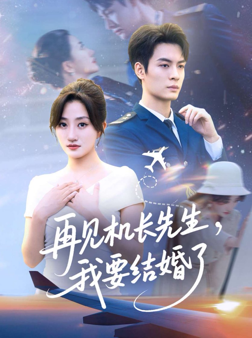 再见机长先生，我要结婚了海报