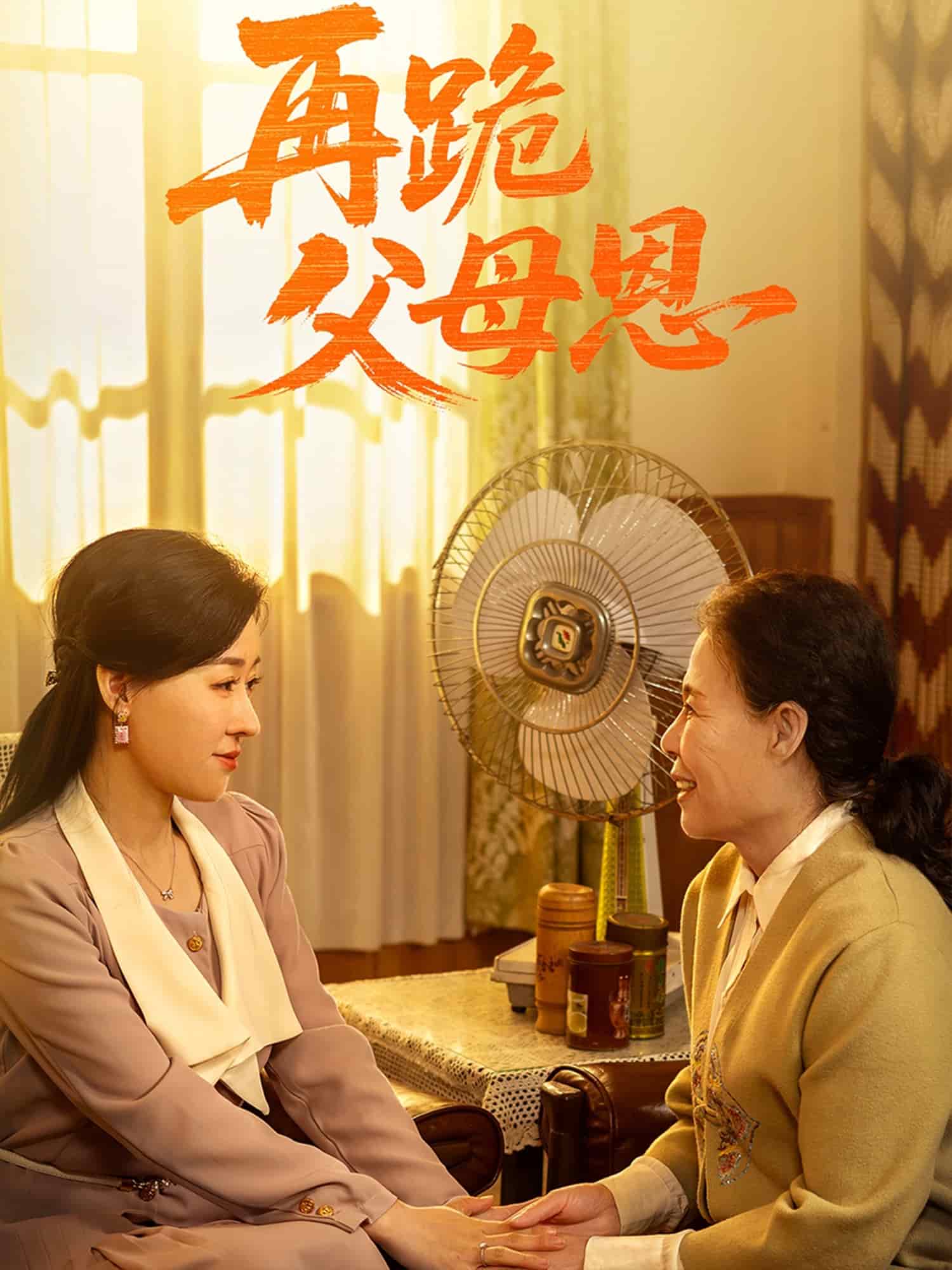 再跪父母恩海报