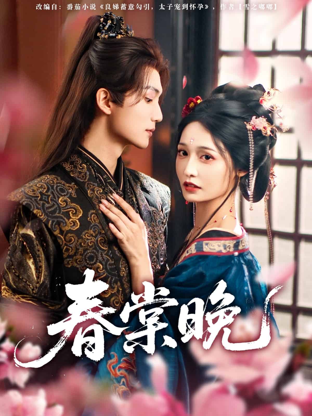 春棠晚海报