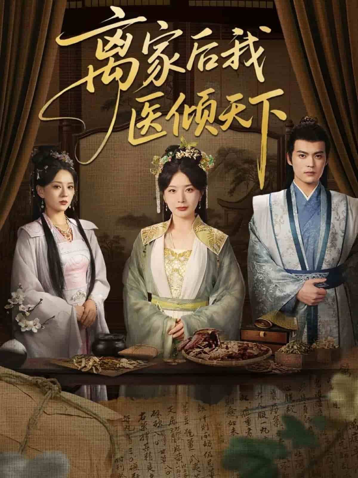 离家后我医倾天下海报