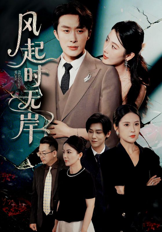 风起时无岸海报