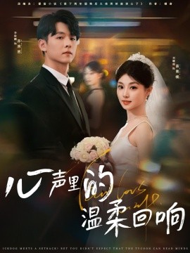 心声里的温柔回响海报