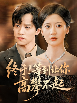 终于等到让你高攀不起海报