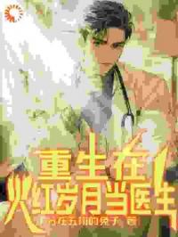 重生在火红岁月当医生海报