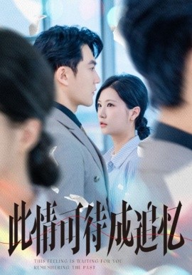 此情可待成追忆海报