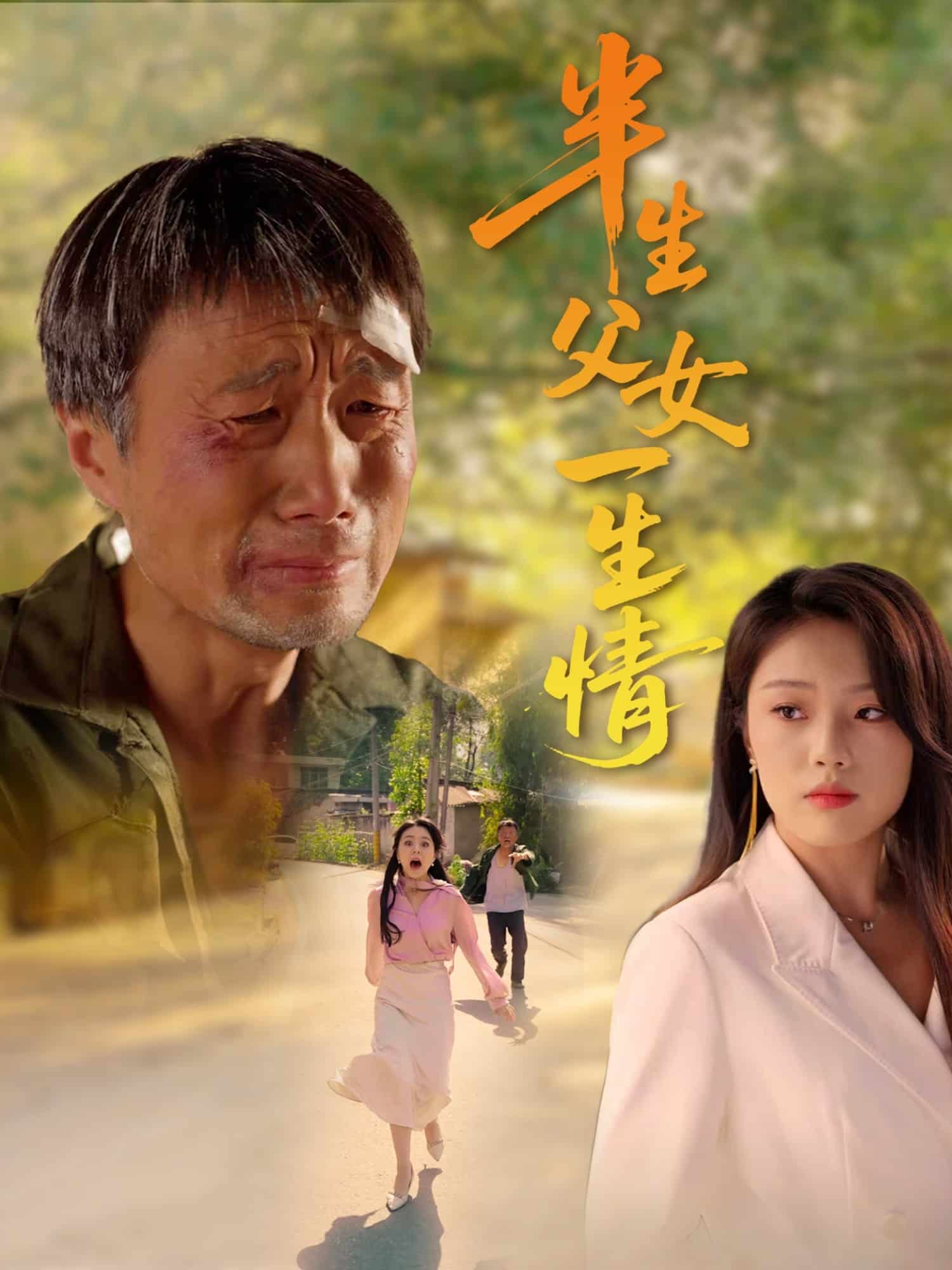 半生父女一生情海报