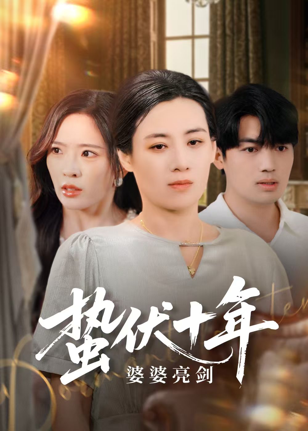蛰伏十年婆婆亮剑海报