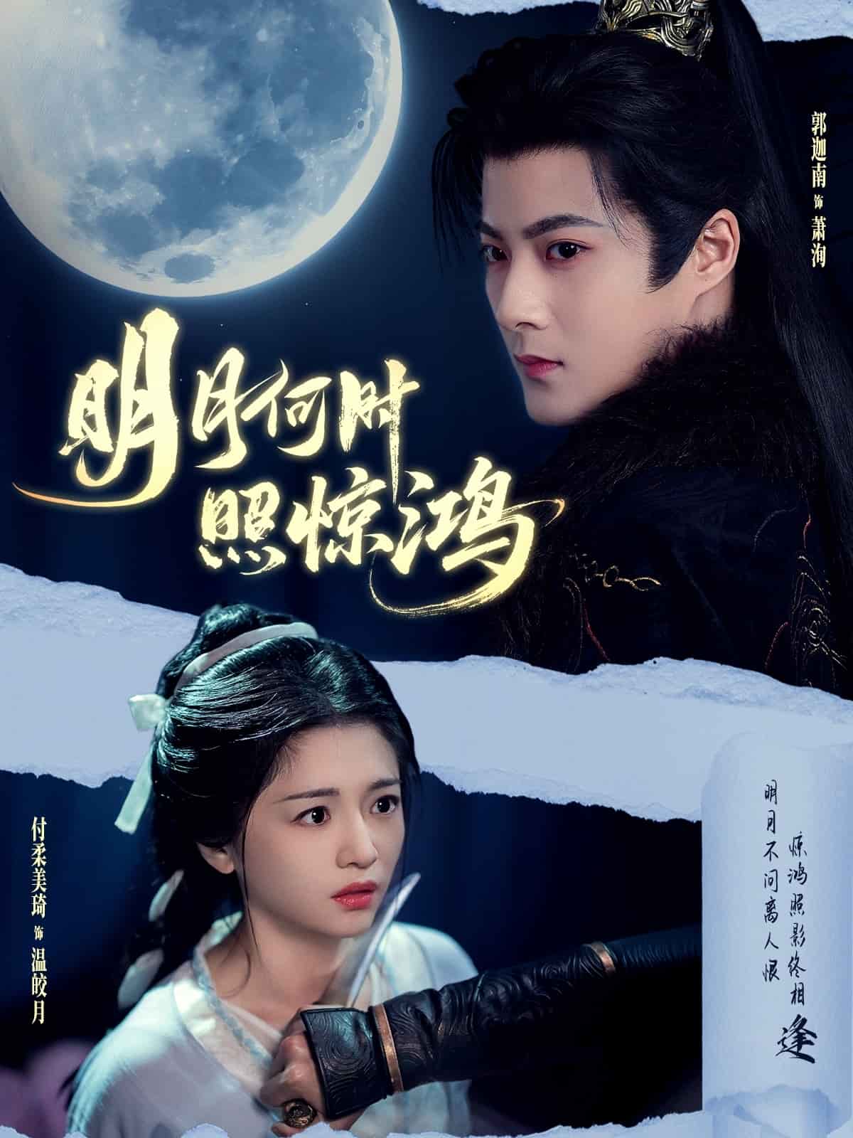明月何时照惊鸿海报