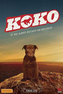 Koko：红犬历险记海报