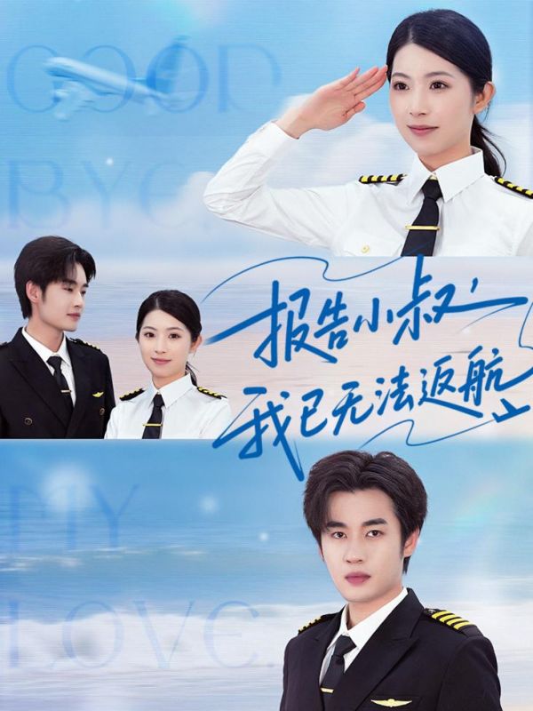 报告小叔我已无法返航海报