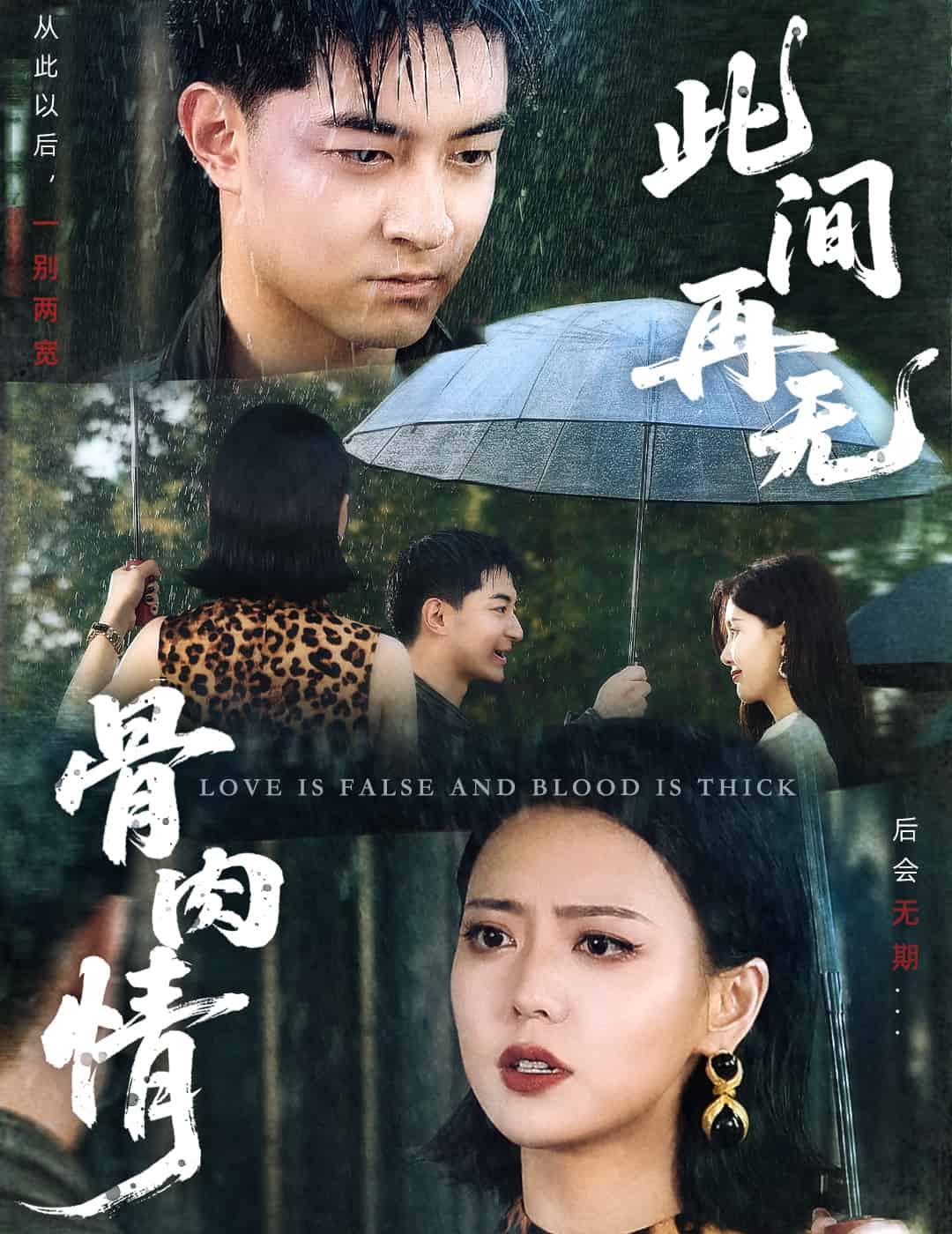 此间再无骨肉情海报