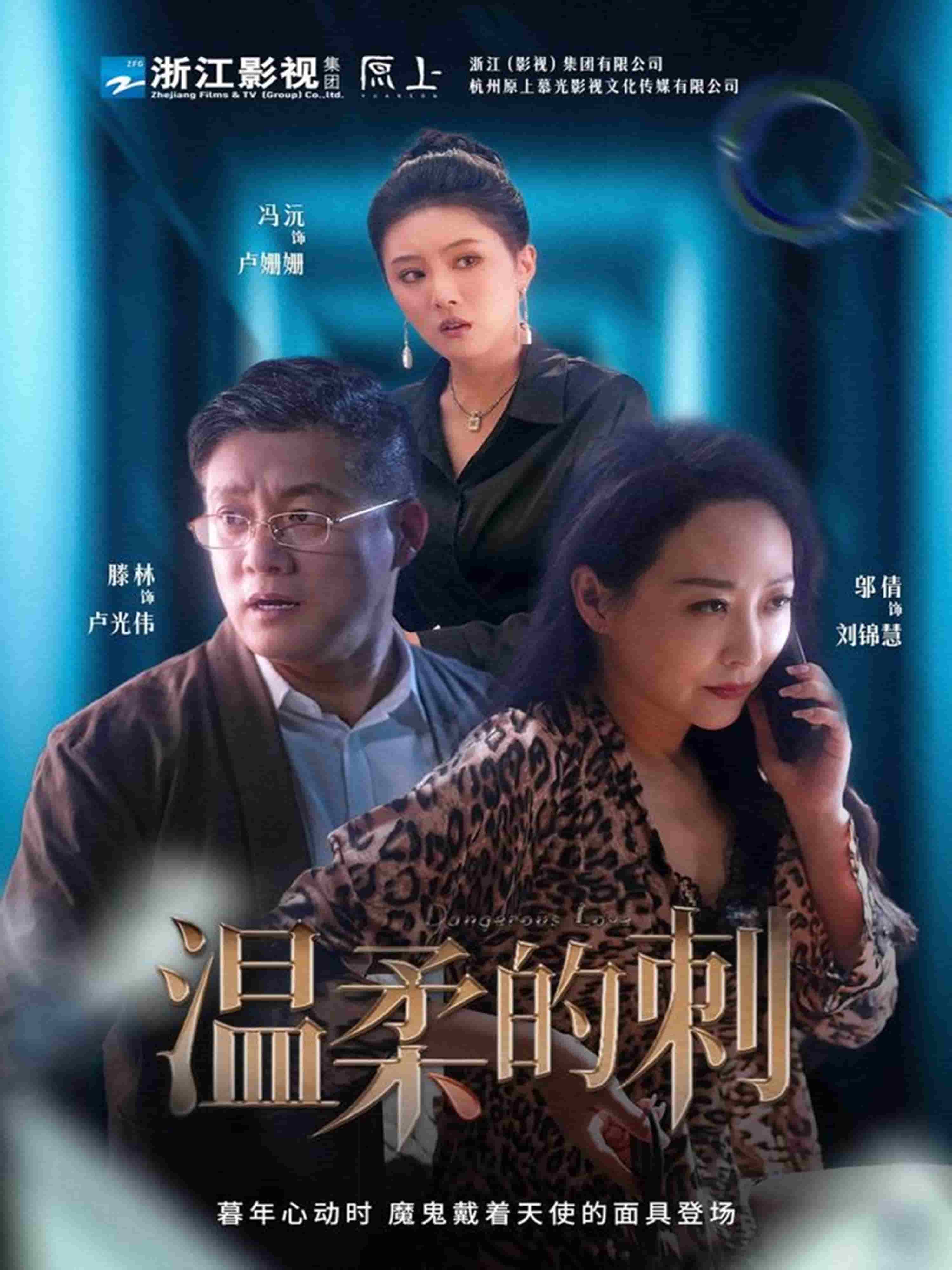 温柔的刺海报