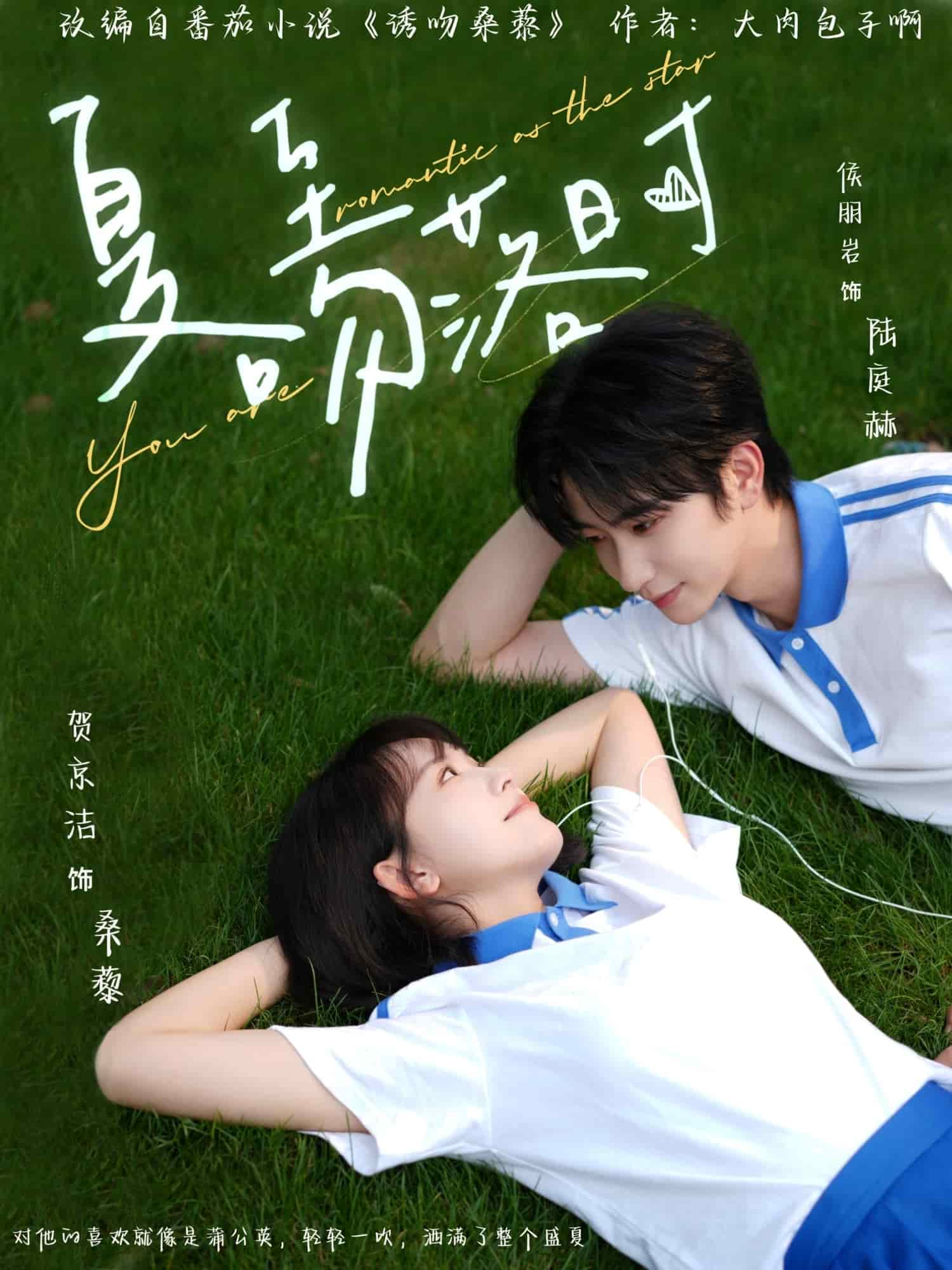 夏至吻落时海报