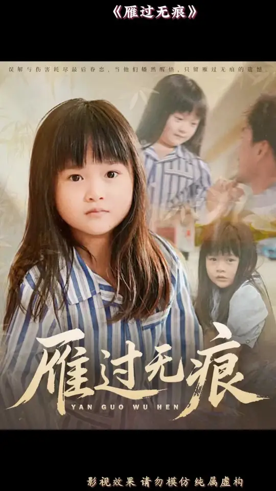 雁过无痕海报