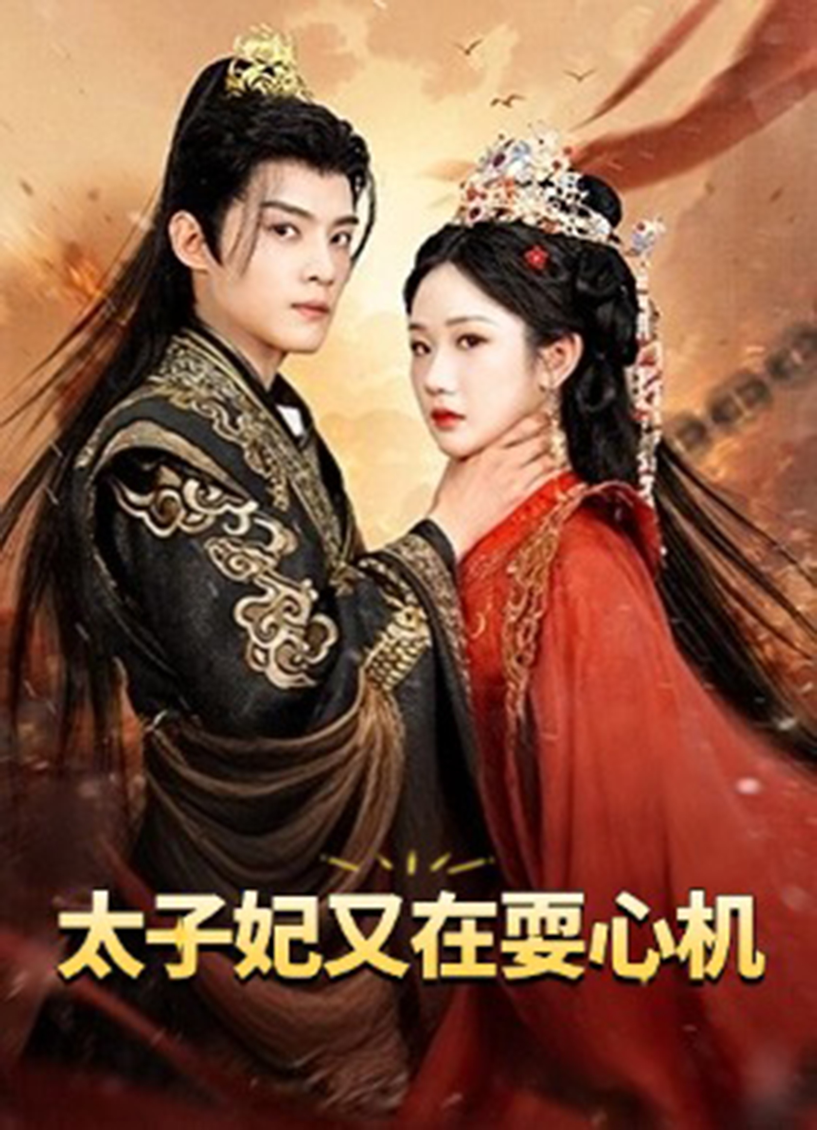 太子妃又在耍心机海报