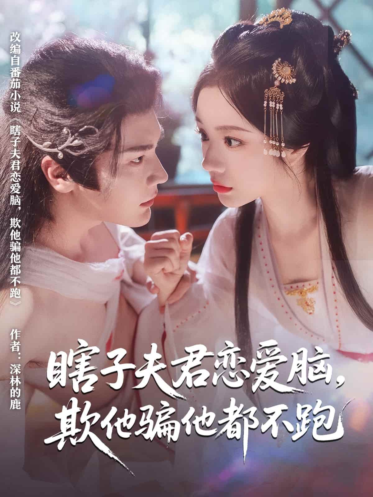 瞎子夫君恋爱脑欺他骗他都不跑海报