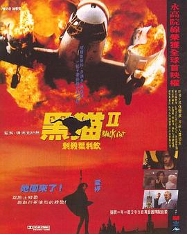 黑猫II：刺杀叶利钦国语海报