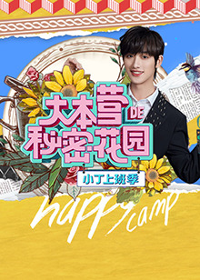 大本营的秘密花园之小丁上班季海报