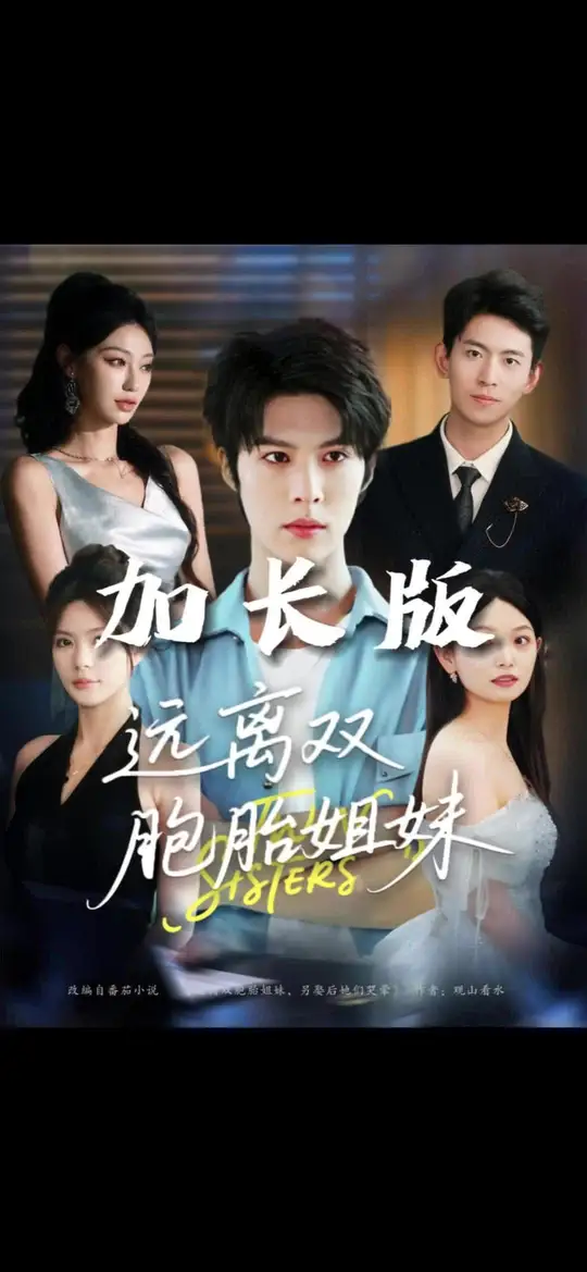 远离双胞胎姐妹海报