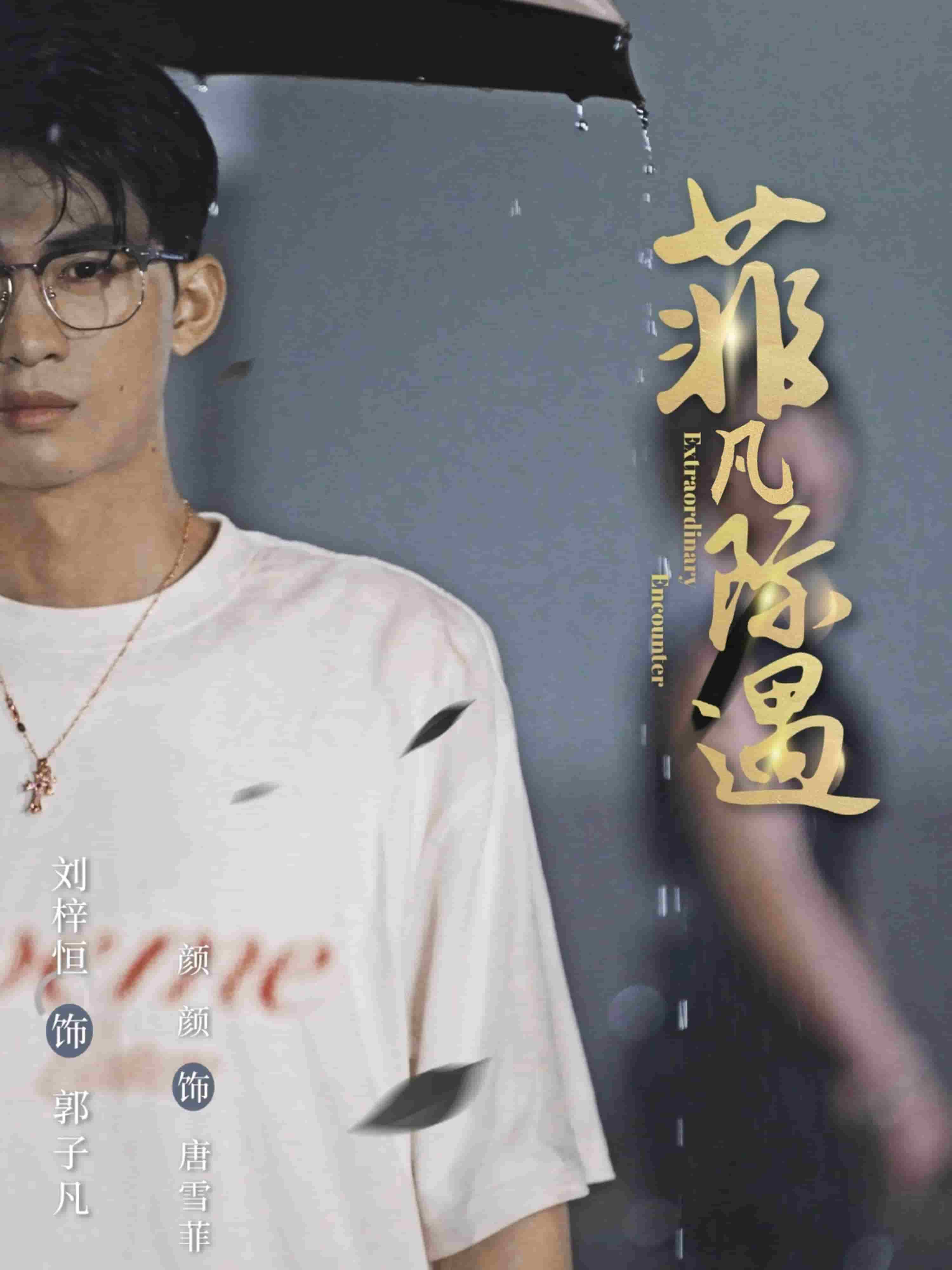 菲凡际遇海报
