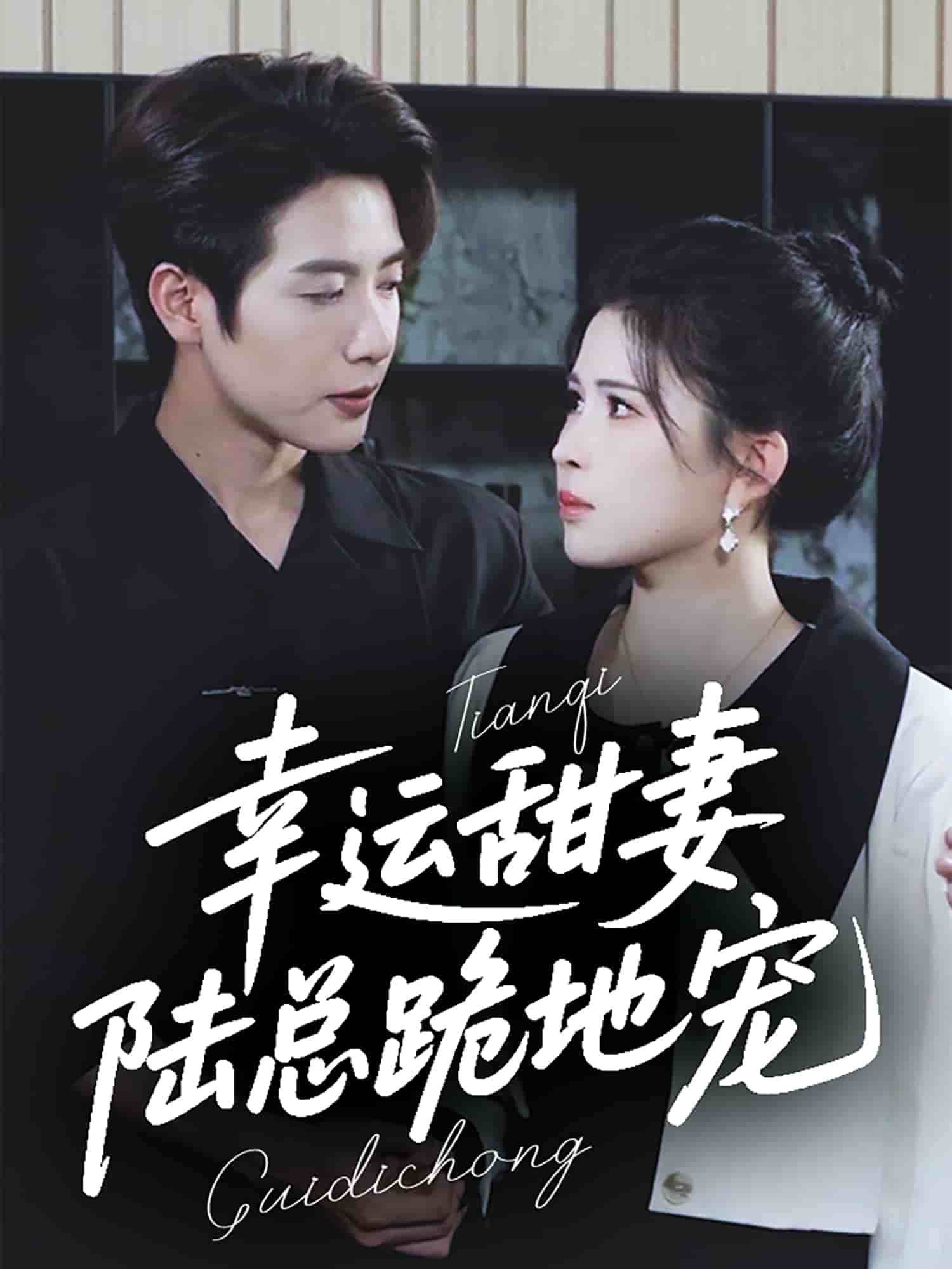 幸运甜妻，陆总跪地宠海报