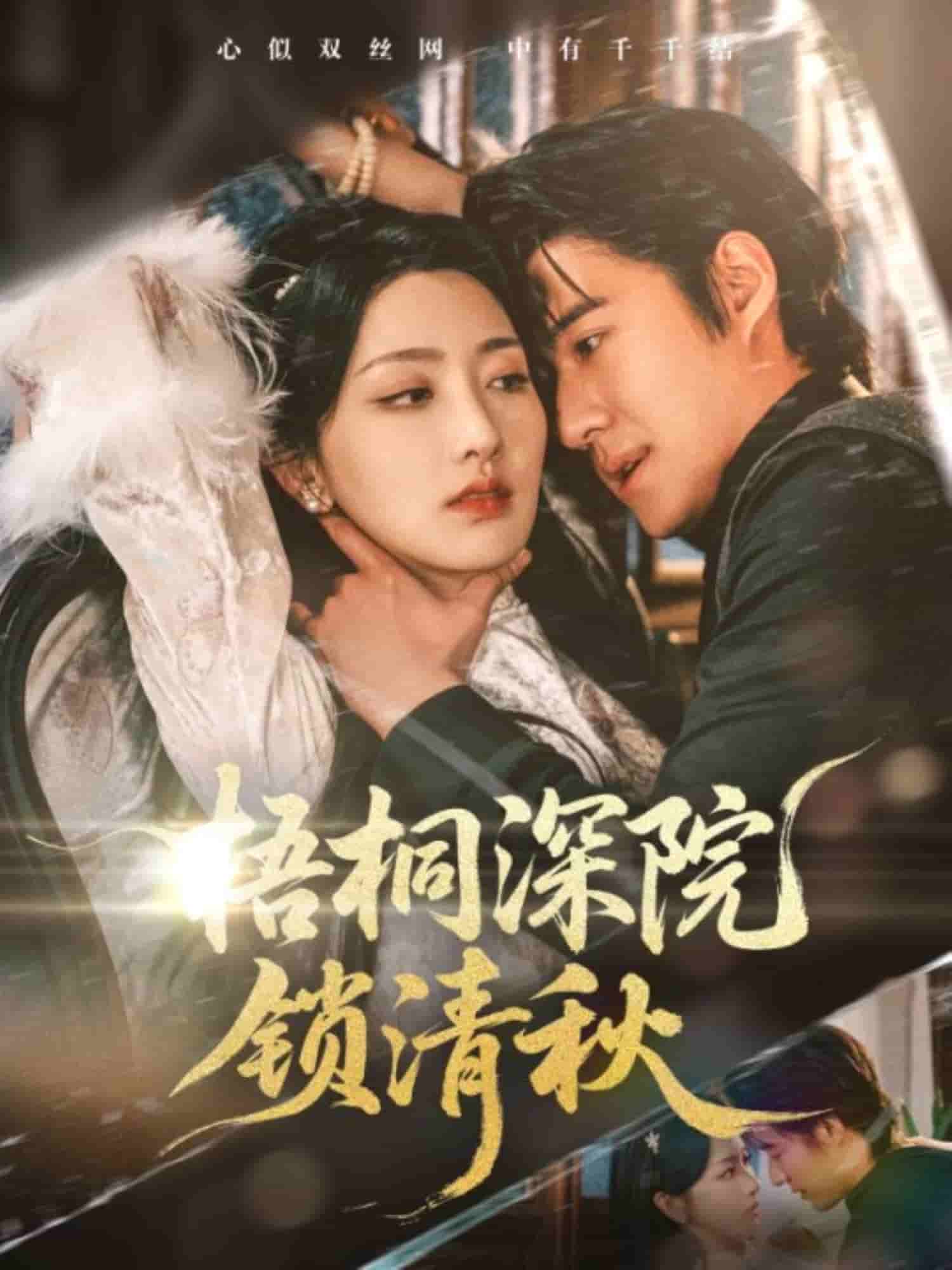 梧桐深院锁清秋海报