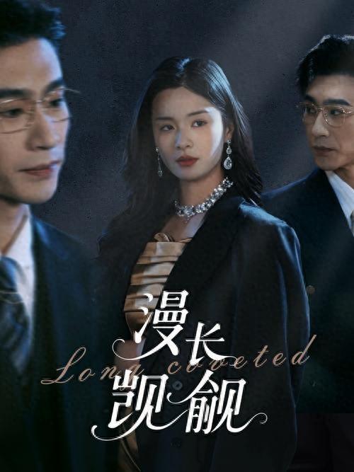 漫长觊觎海报