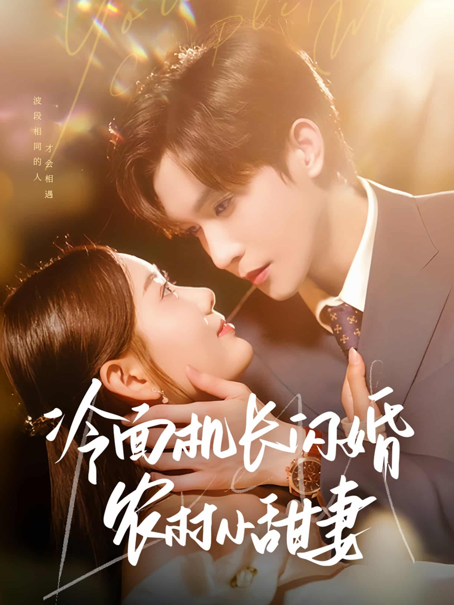 冷面机长闪婚农村小甜妻海报