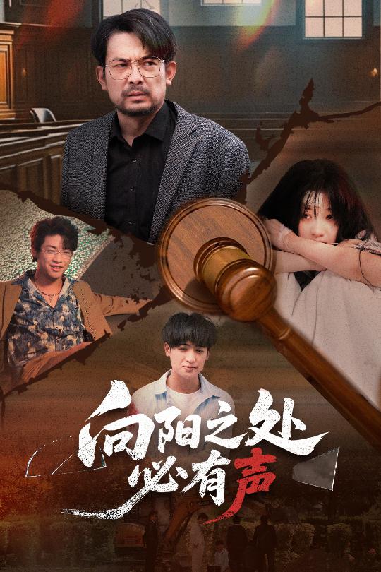 向阳之处必有声（短剧版）海报