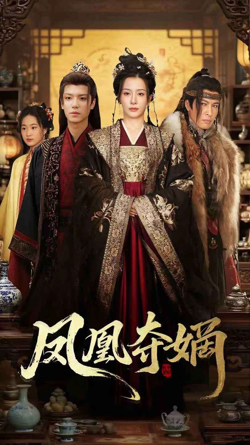 凤凰夺嫡海报
