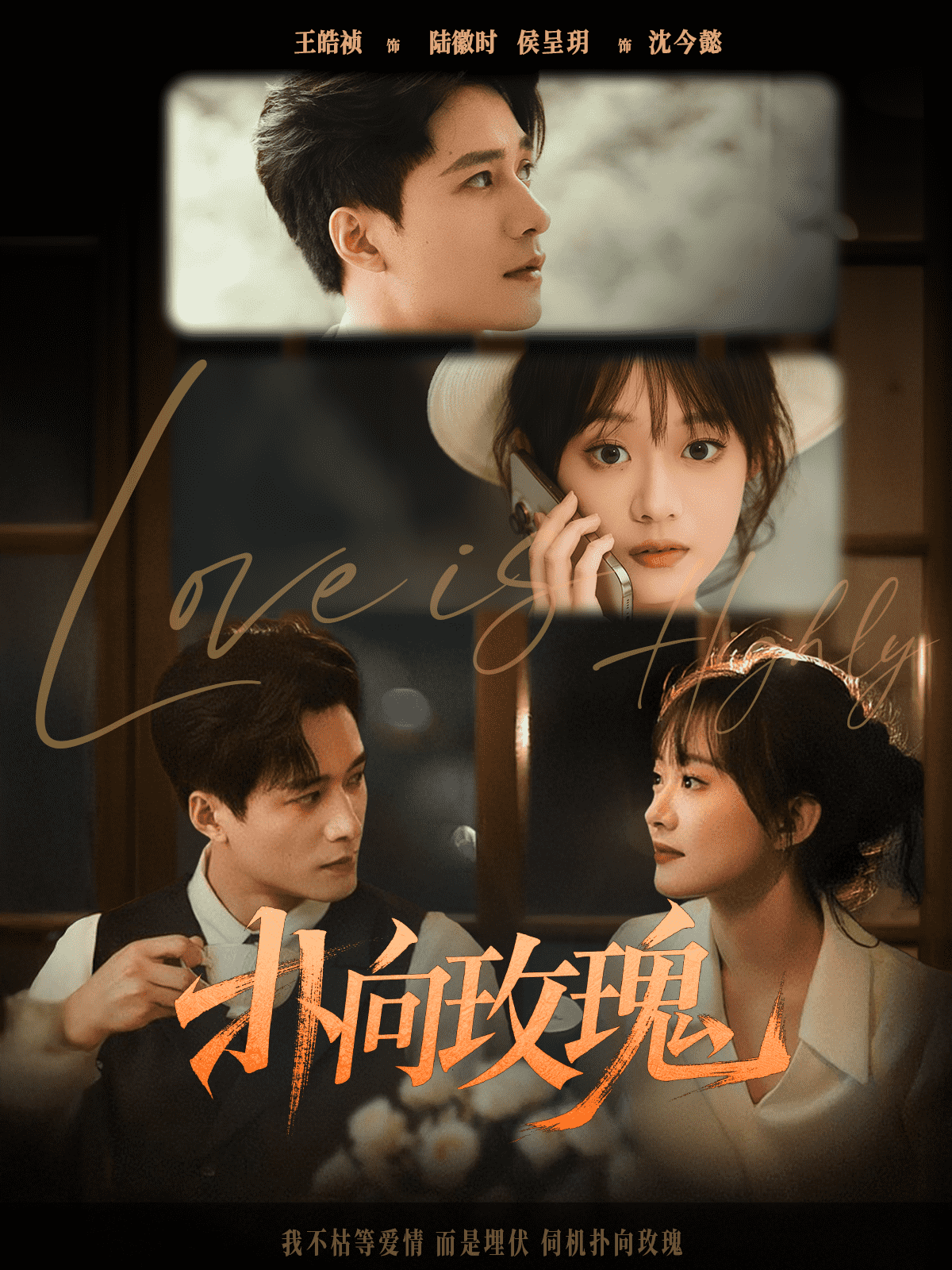 扑向玫瑰海报
