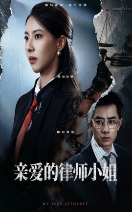 亲爱的律师小姐海报