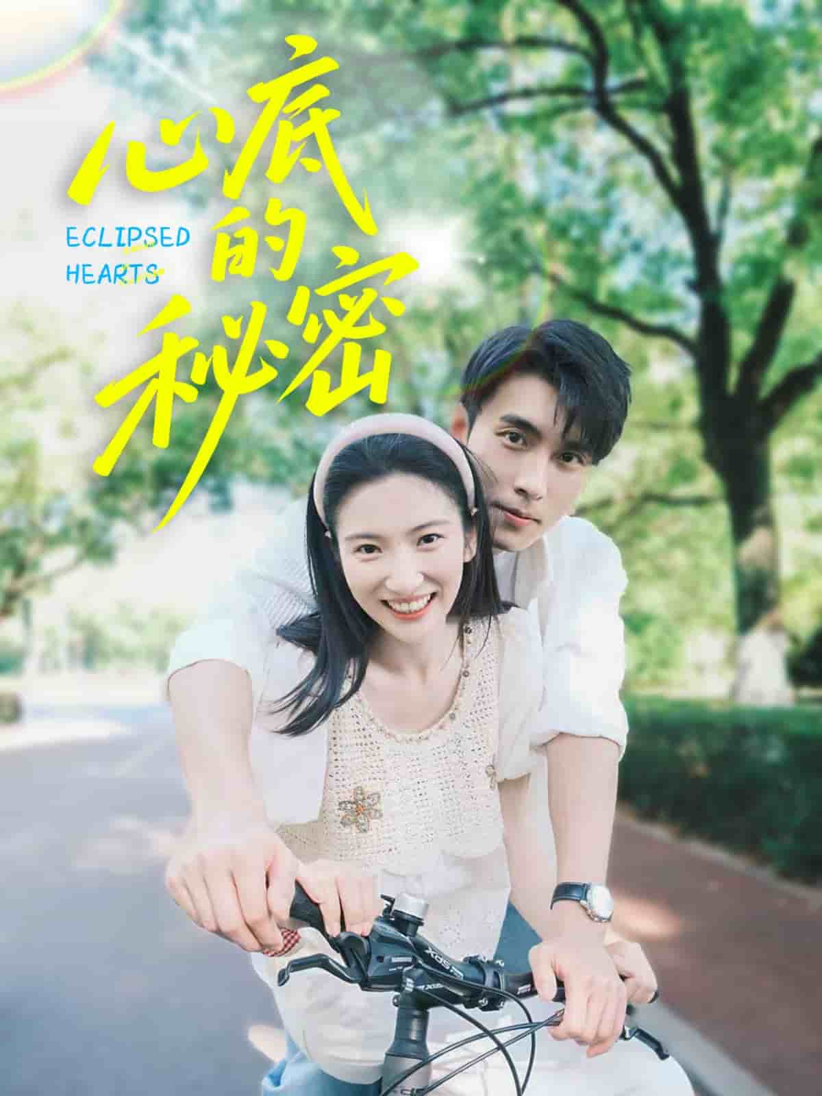 心底的秘密海报